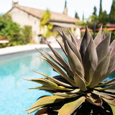 La Maison Sur La Colline Καρκασόν