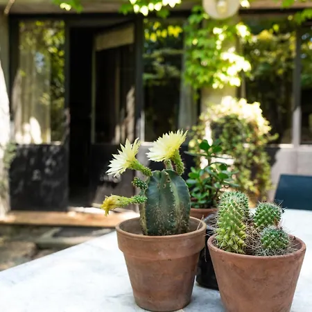 La Maison Sur La Colline 3* Carcassonne