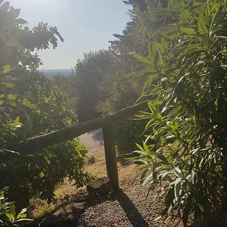 La Maison Sur La Colline Bed & Breakfast