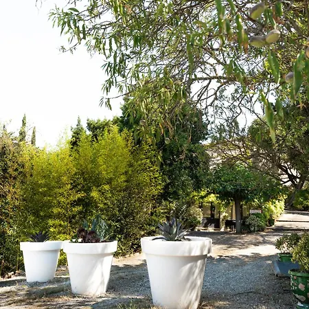 Bed & Breakfast La Maison Sur La Colline