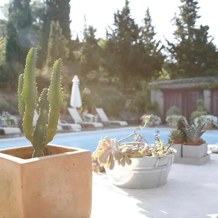 Bed and Breakfast La Maison Sur La Colline Καρκασόν