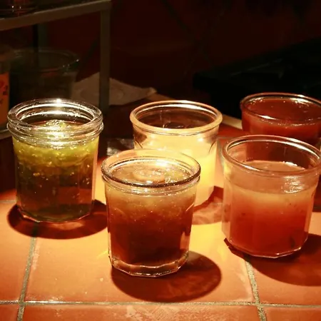 La Maison Sur La Colline Bed and Breakfast Καρκασόν