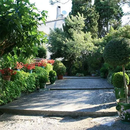 La Maison Sur La Colline Bed & Breakfast *